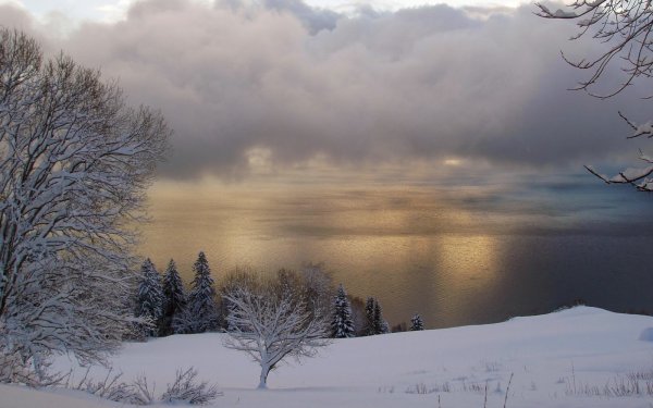 Пасмурное зимнее утро