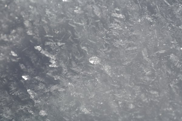 Цвет серый лед