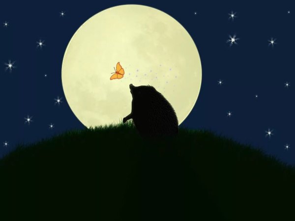 Пожелания спокойной ночи