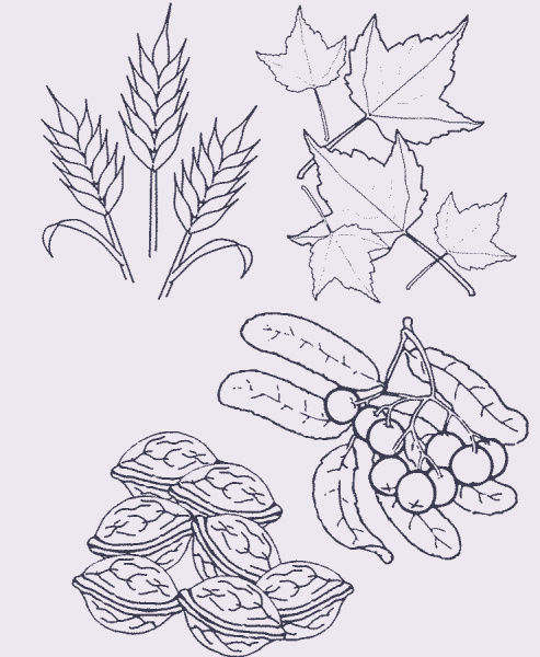 Осенний букет раскраска для детей