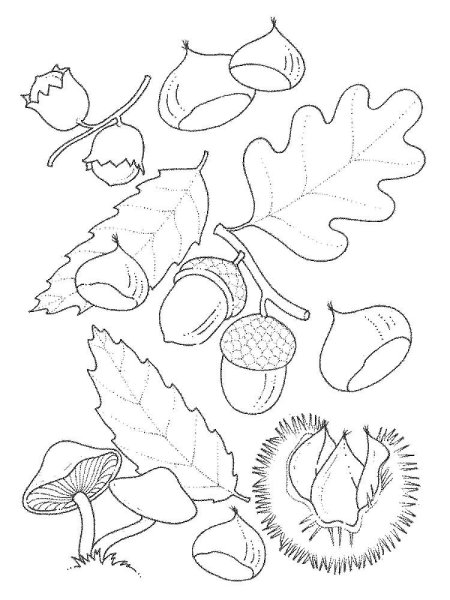 Осенняя раскраска