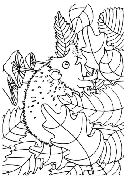 Красивые осенние раскраски для детей