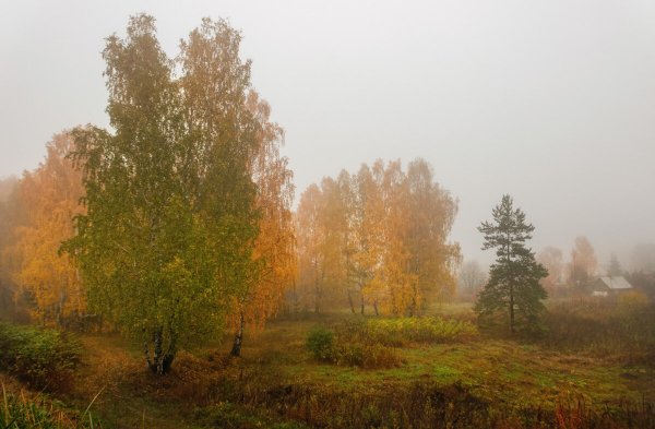 Осеннее утро в селе