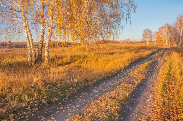 Осеннее утро в селе