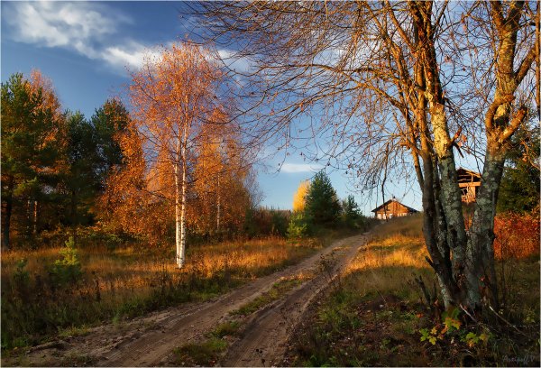 Утро поздняя осень деревня
