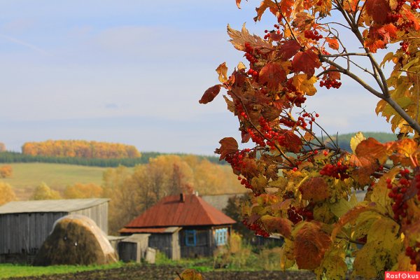 Осень в деревне