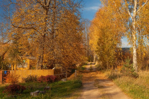 Тверская деревня осень