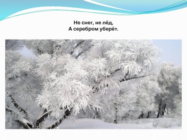 Снится снег