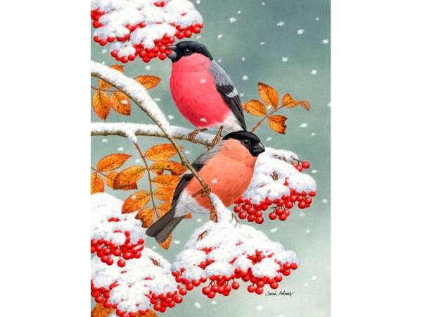 Счастливого зимнего дня