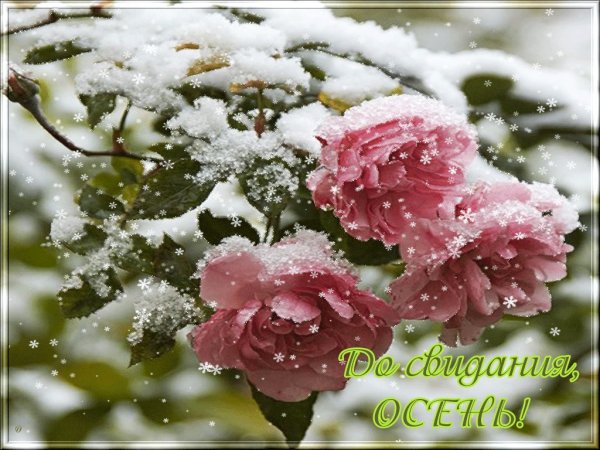 С первым днем зимы доброе утро