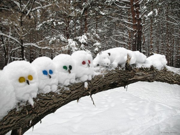 Снеговик в лесу