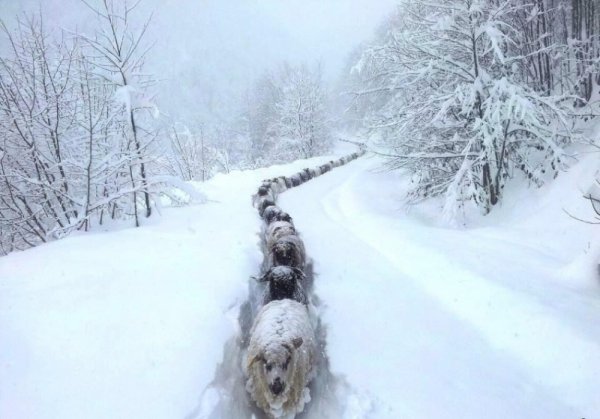 Зима идет зиме дорогу