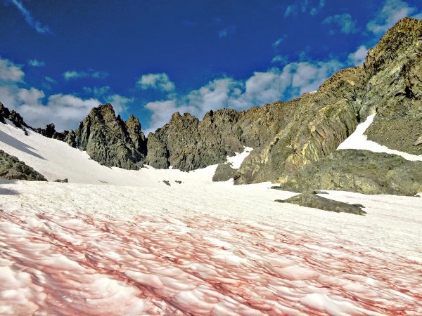 Арбузный снег Сьерра Невада