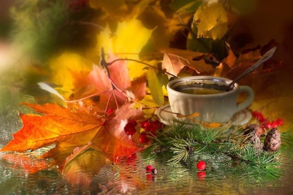 С последним осенним днем