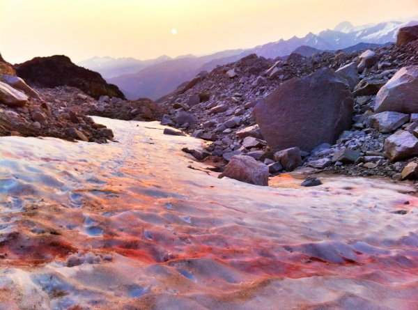 Сьерра Невада красный снег