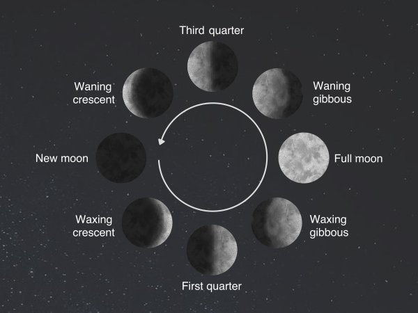 Фаза растущей Луны