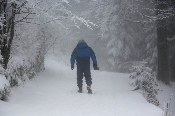 Человек в зимнем лесу