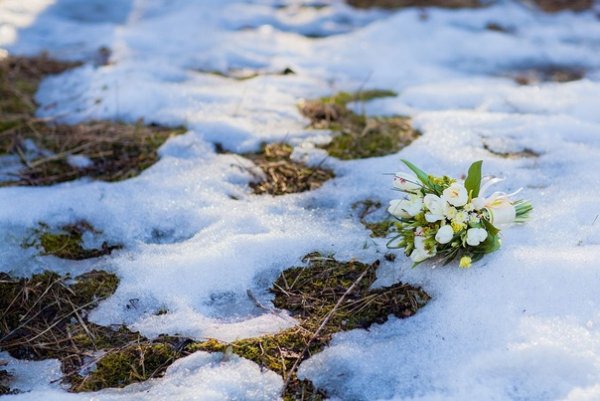 Весна снег