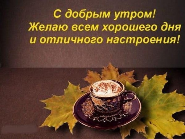 С добрым осенним утром и хорошим днём