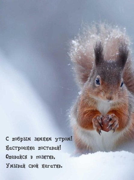 Доброе утро зима