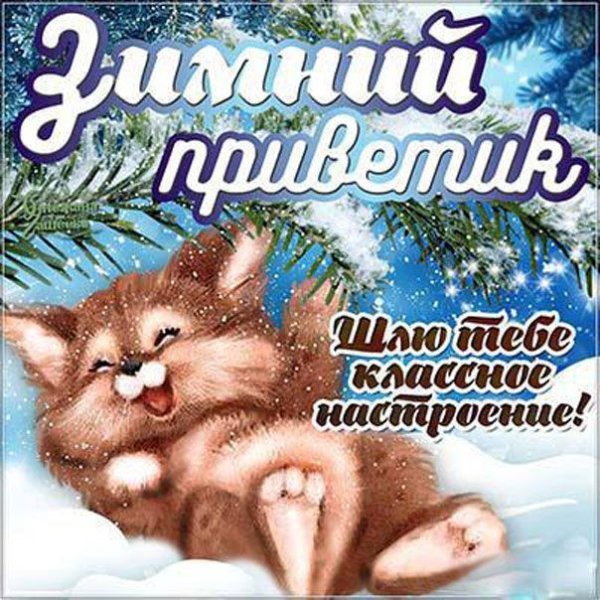 Зимний приветик открытки