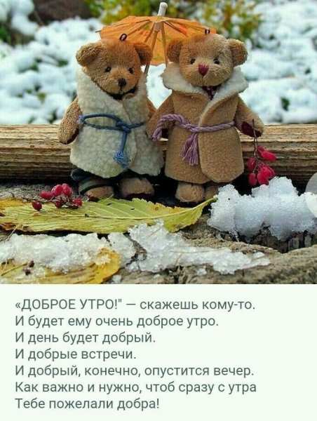 Доброе утро цитаты