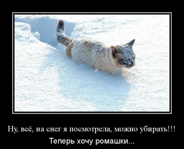 Приколы про снег