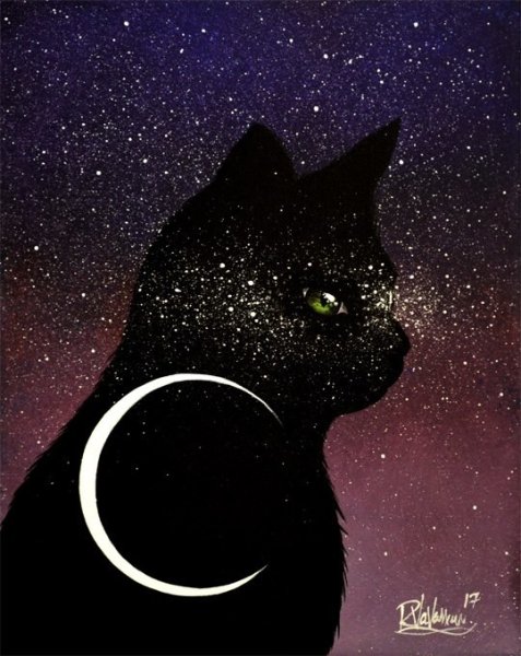 Черный кот с полумесяцем