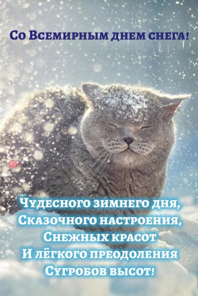 Снежный день