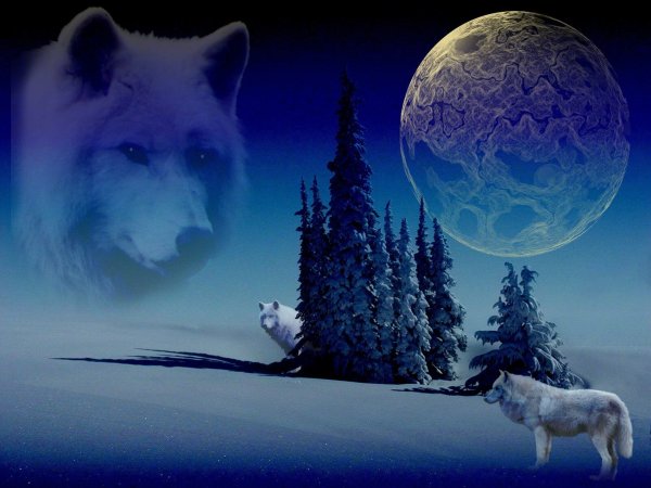 Волк ночь Луна