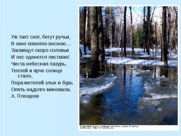 Чиста Небесная лазурь, теплей и ярче солнце стало, пора метелей злых