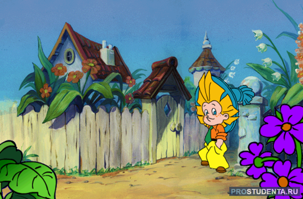 Незнайка в цветочном городе