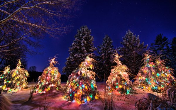 Новогодняя елка