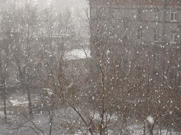 Мокрый снег за окном