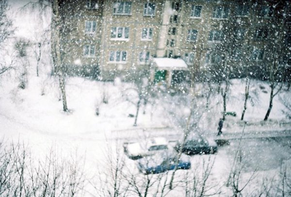 Первый снег вид из окна