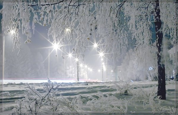 Зимняя стужа в городе