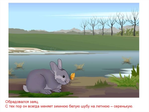 Сказка снег и заяц