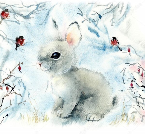 Акварельный зимний заяц