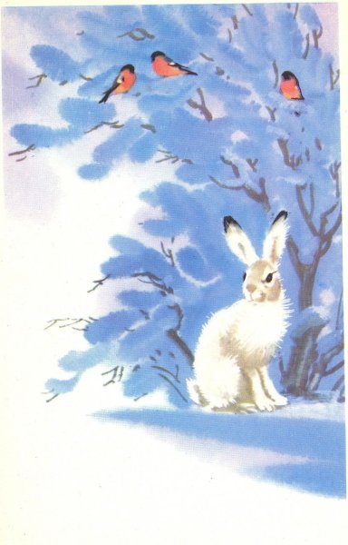 Заяц зимой живопись
