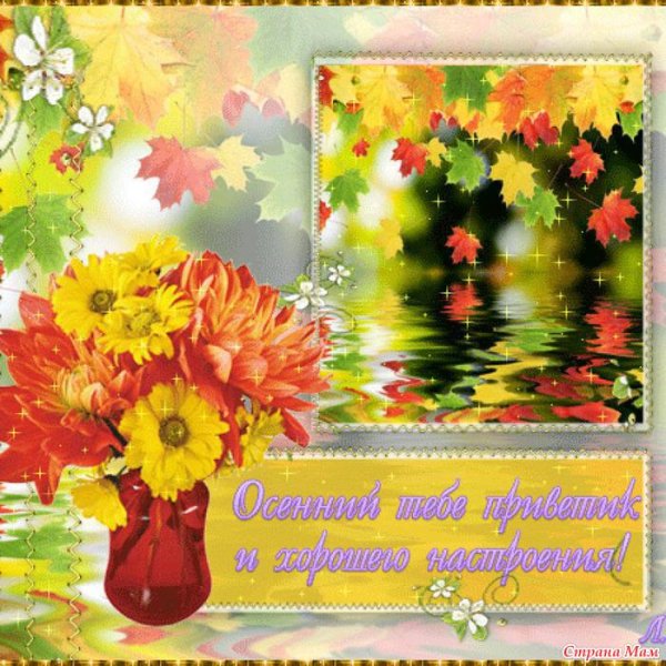 Радостного дня и хорошего настроения осень