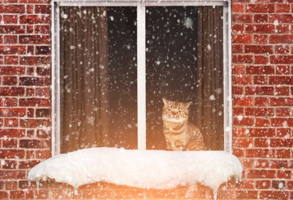 Окно зимой снаружи