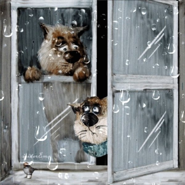 Кот и дождь за окном