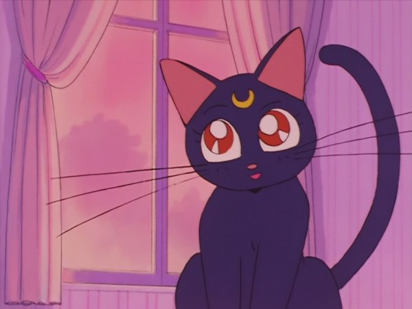 Sailor Moon Луна кошка
