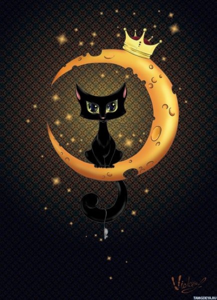 Кошка Луна