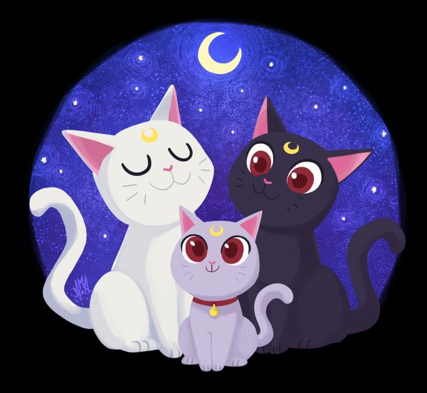 Sailor Moon кошка