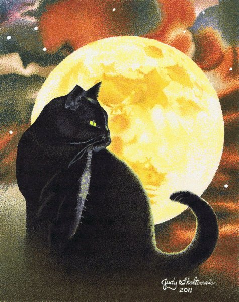 Черная кошка и Луна