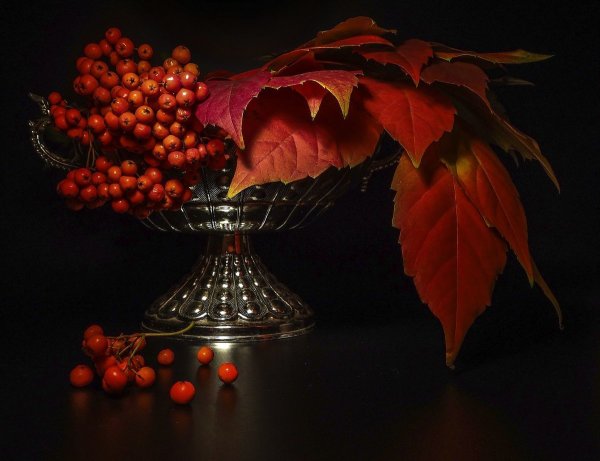 Осенние натюрморты на темном фоне