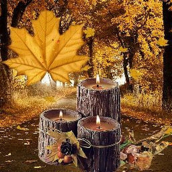 Осенний вечер