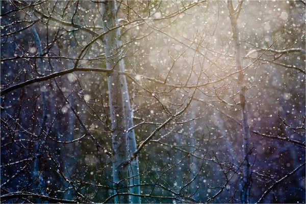 Падающий снег