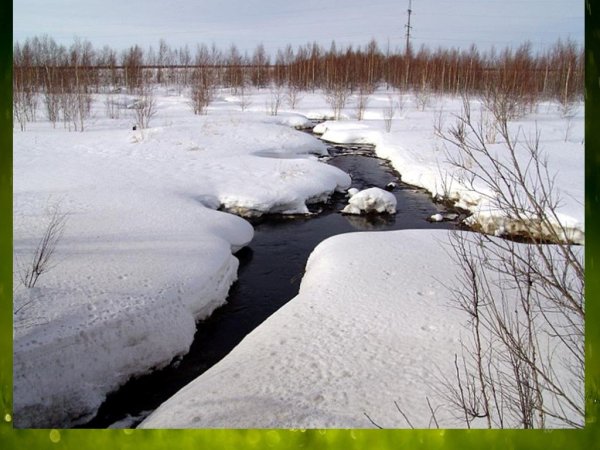 Весна поля ручьи